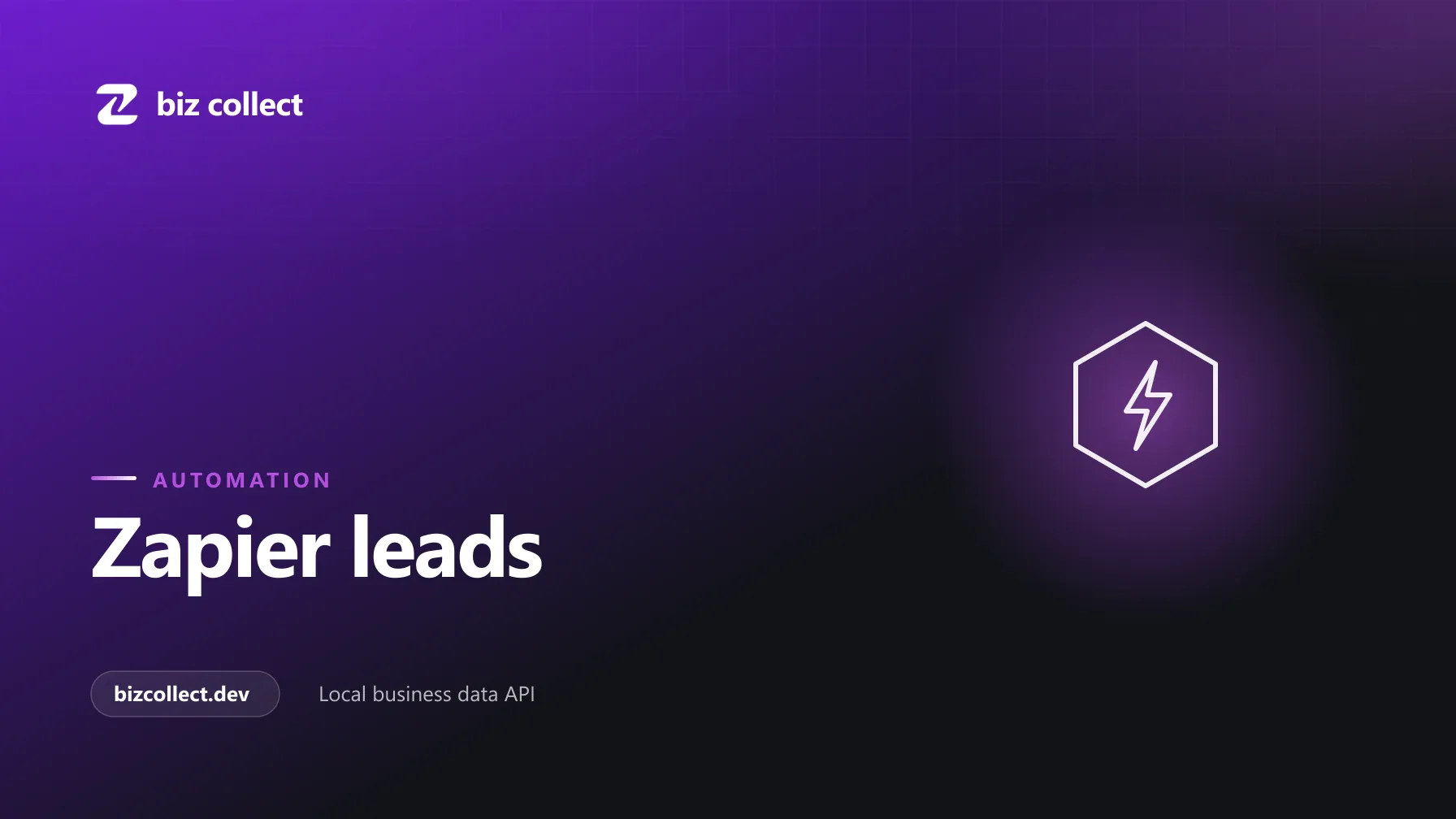 A Zapier Zap with webhook, delay, poll, and filter steps feeding local business leads into a sheet.